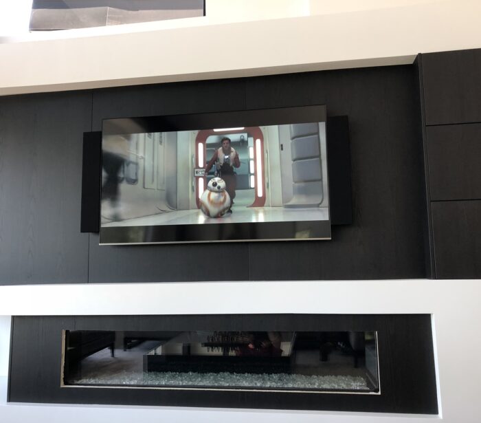 custom speakers, Triad